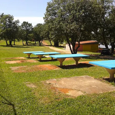 Maestral * 波雷奇