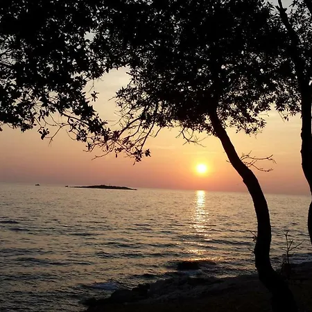 Maestral * Poreč